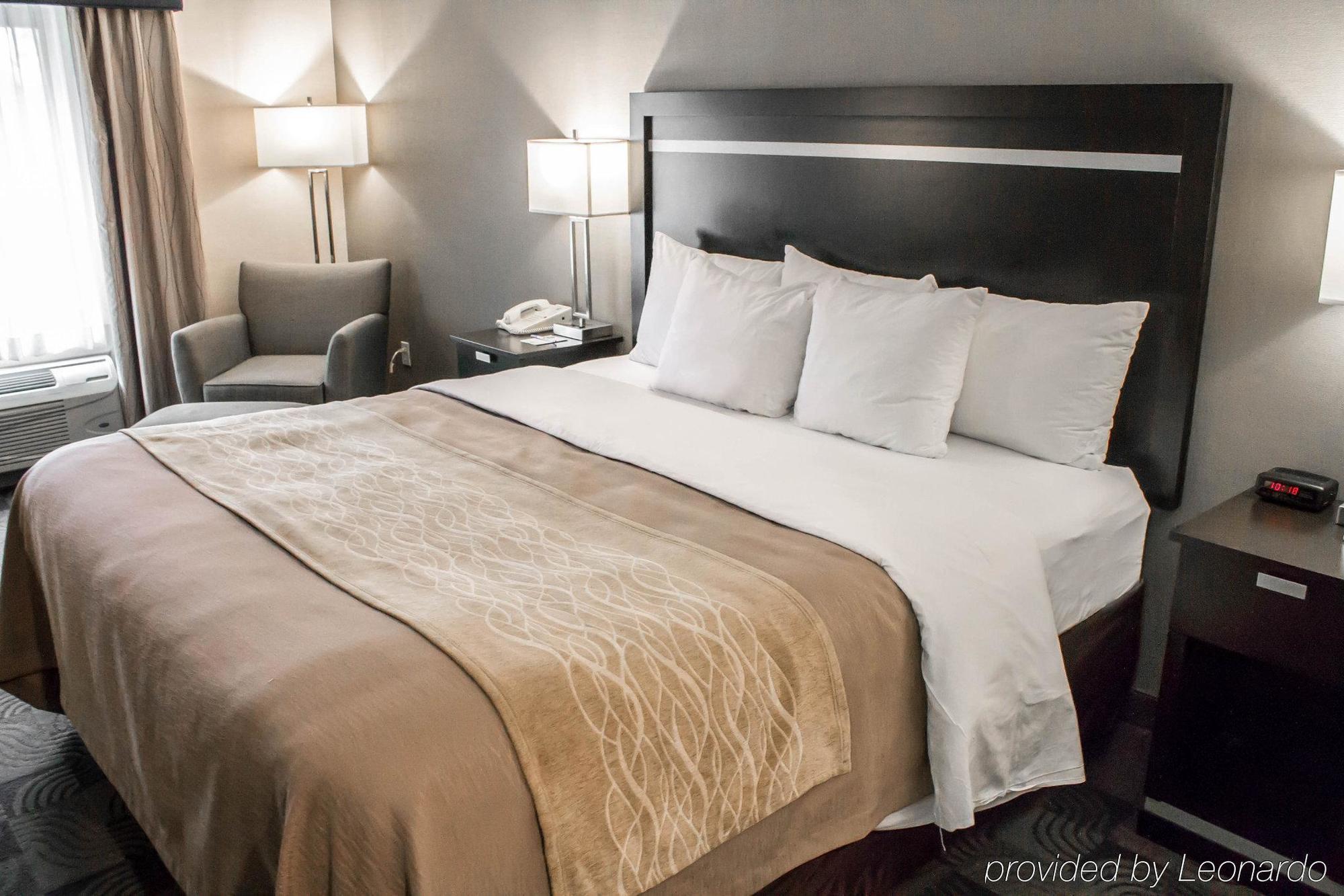 Holiday Inn Express & Suites - Albany Airport - Wolf Road By Ihg Bagian luar foto