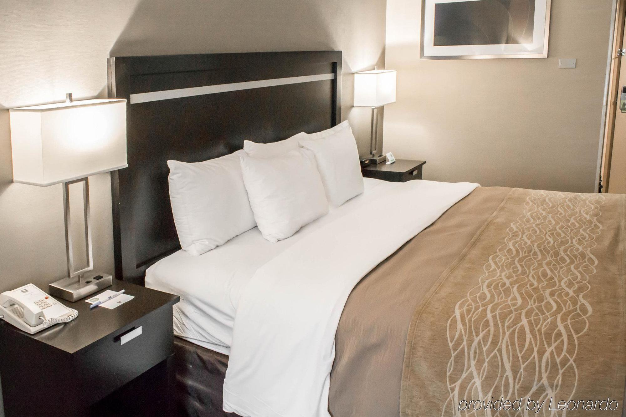 Holiday Inn Express & Suites - Albany Airport - Wolf Road By Ihg Bagian luar foto