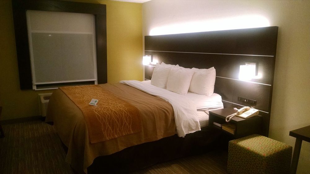 Holiday Inn Express & Suites - Albany Airport - Wolf Road By Ihg Bagian luar foto