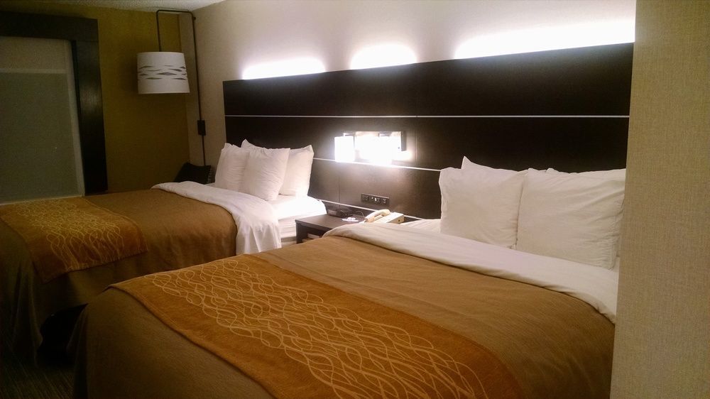 Holiday Inn Express & Suites - Albany Airport - Wolf Road By Ihg Bagian luar foto