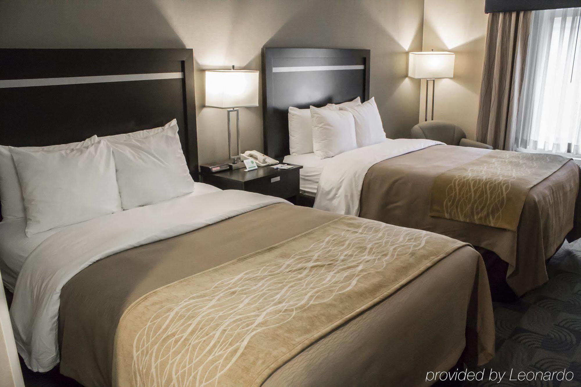 Holiday Inn Express & Suites - Albany Airport - Wolf Road By Ihg Bagian luar foto